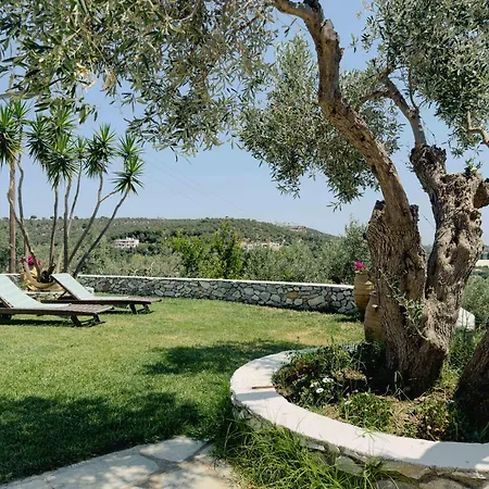 Villa Philosophia -sophia *